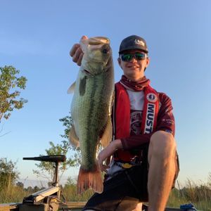 Meet your Posher, Chase